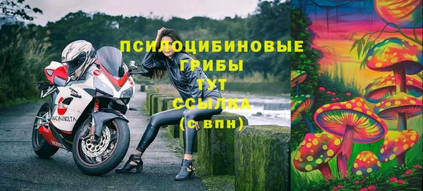кокс Алзамай