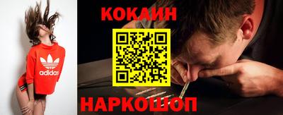 Альфа ПВП Гатчина