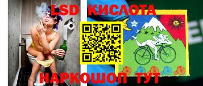 Альфа ПВП Гатчина