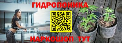 Альфа ПВП Гатчина