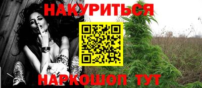 Альфа ПВП Гатчина