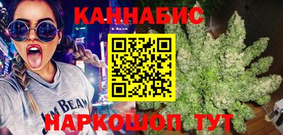 Альфа ПВП Гатчина