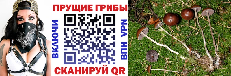 Галлюциногенные грибы MAGIC MUSHROOMS  Кольчугино 