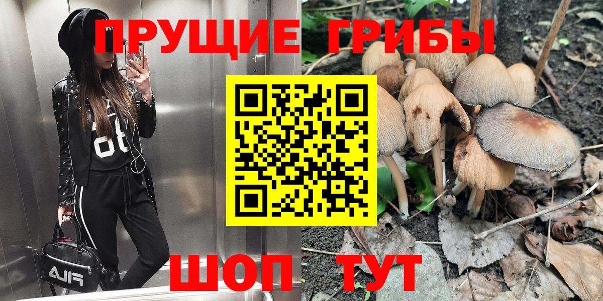 Галлюциногенные грибы Psilocybe  Галлюциногенные грибы MAGIC MUSHROOMS  Вход с VPN  Кольчугино 